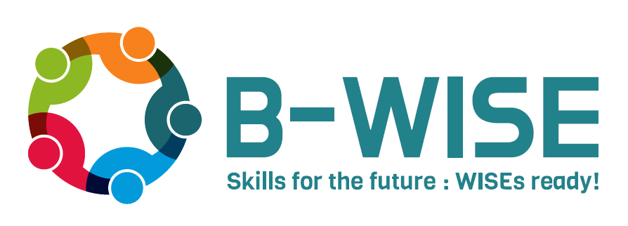 B Wise Proiectul B-WISE vizează nevoile de competențe